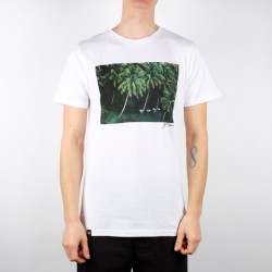 Mens Graphic T-Shirt
